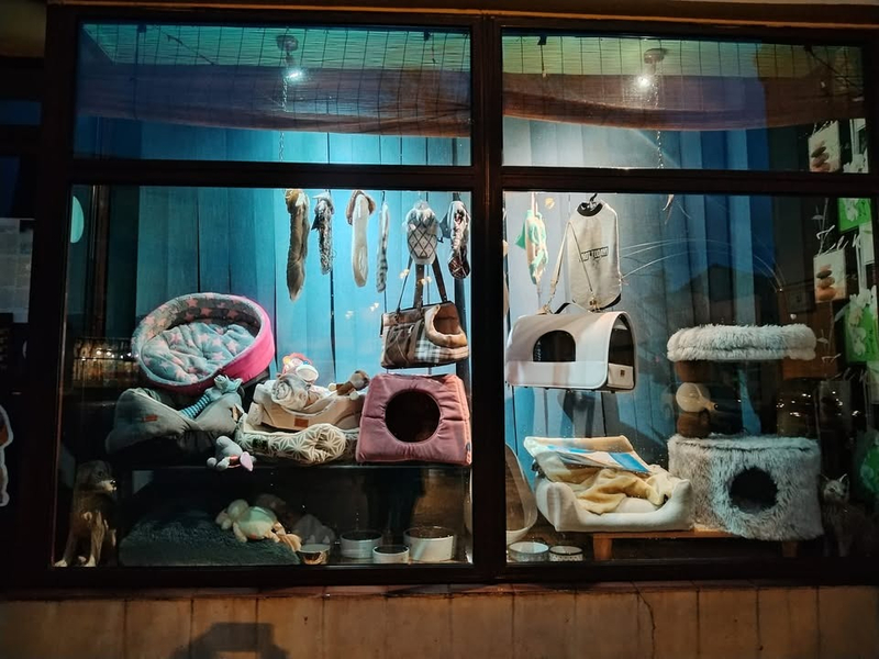 Zdjęcie na okładce dla Sklep zoologiczny u Violi